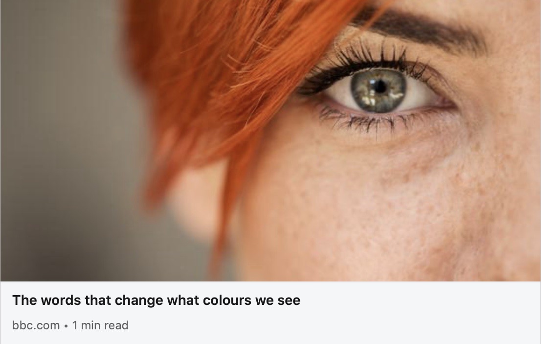 The words that change what colours we see